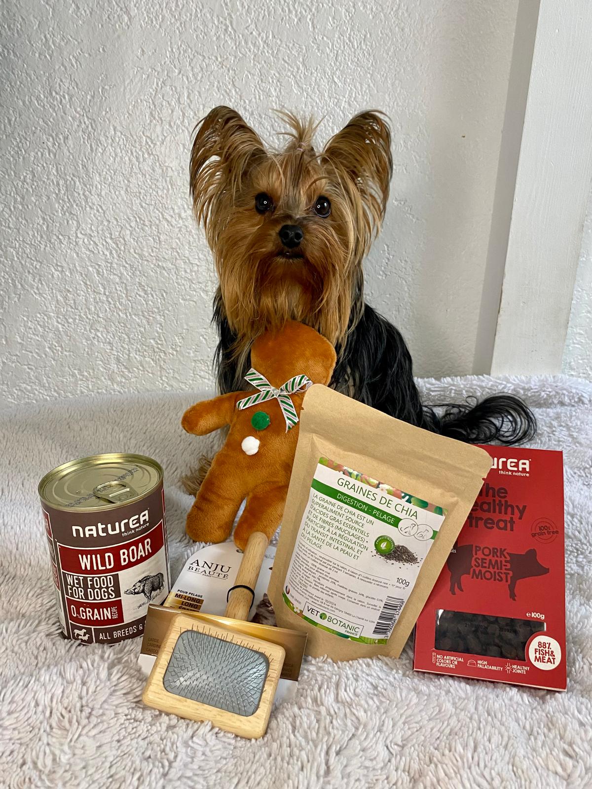 🐶 Box pour chiens