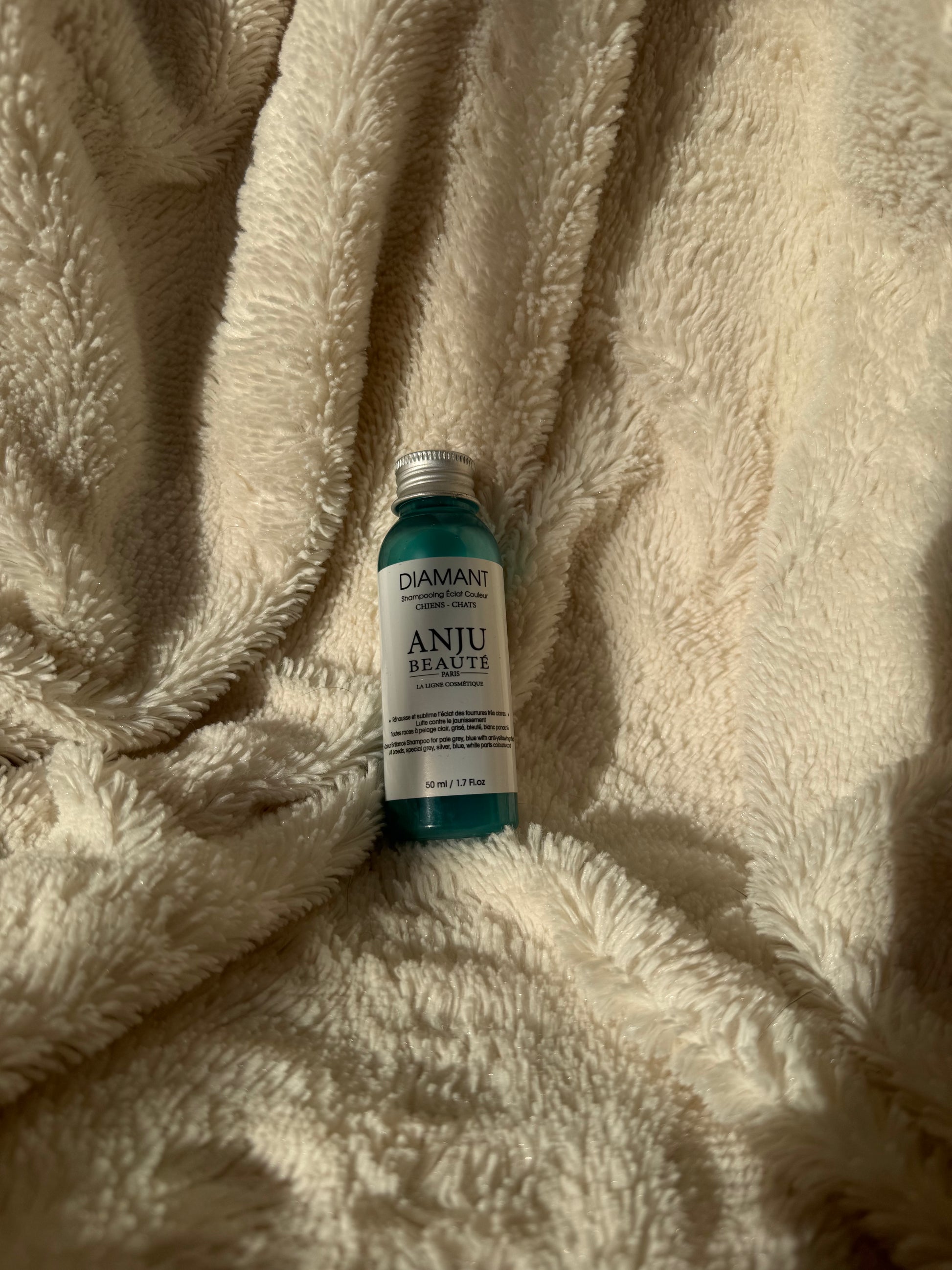 La Box Voyage pour Chats